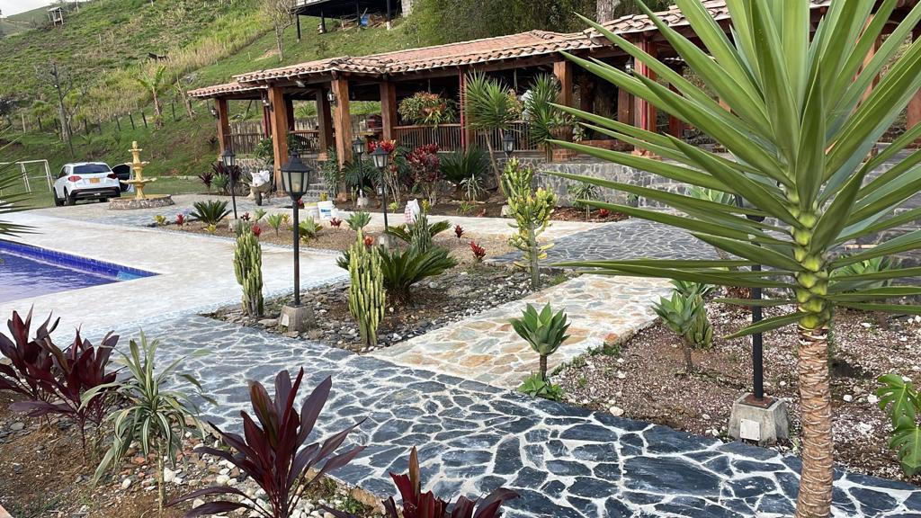 WhatsApp Image 2025-07-08 at 10.44.27 AM