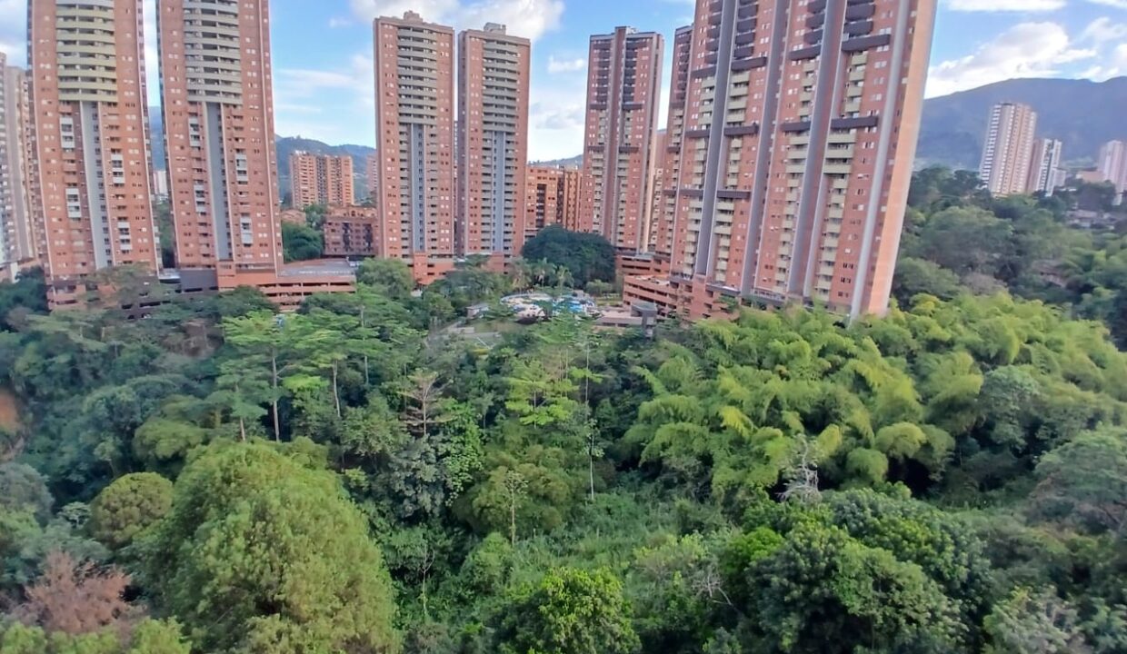 WhatsApp Image 2025-07-19 at 10.40.06 AM