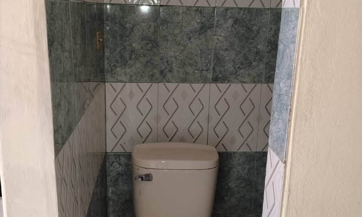 WhatsApp Image 2026-03-30 at 2.49.39 PM (1)